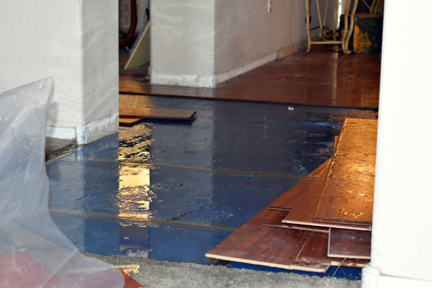 Professional Sewage Cleanup technician working in Hamilton, MI